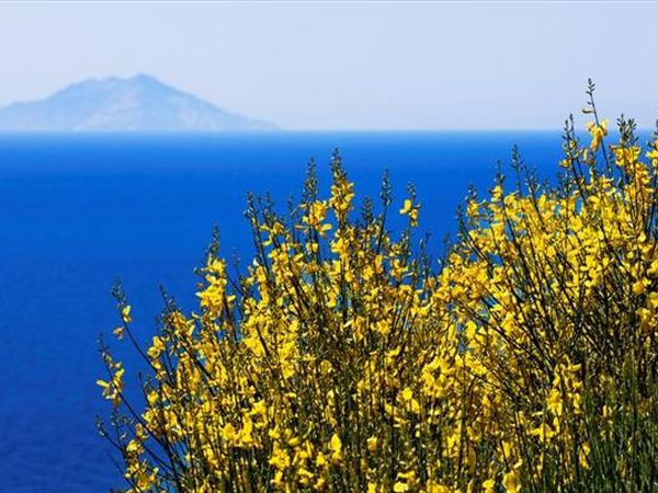 Tenuta delle Ripalte - foto 36365.jpg