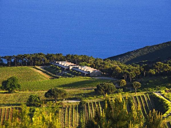 Tenuta delle Ripalte - foto 36369.jpg