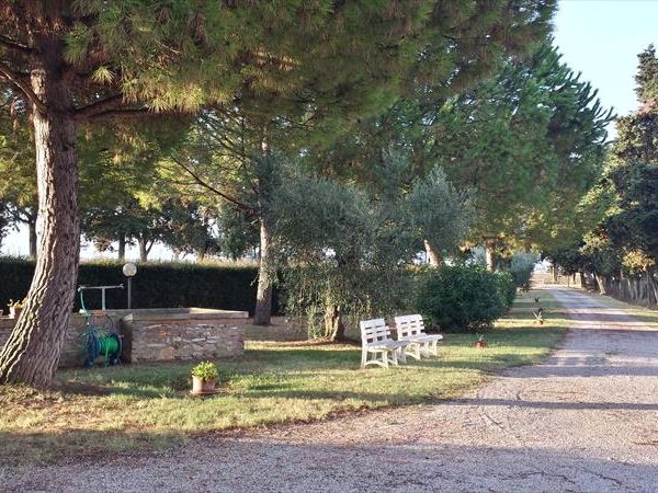 Agriturismo la Ranocchiaia - foto 36509.jpg