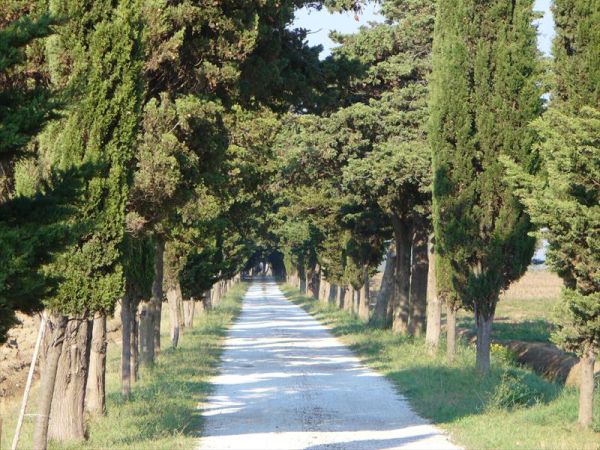 Agriturismo la Ranocchiaia - foto 36512.jpg