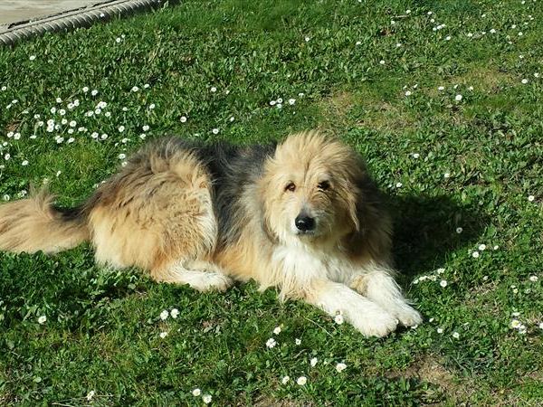 Agriturismo la Ranocchiaia - foto 36513.jpg