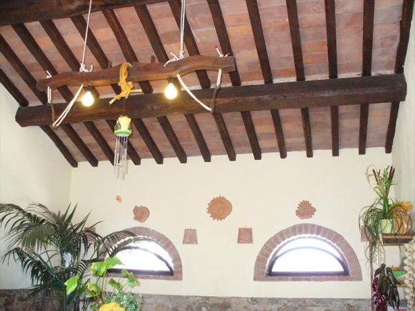 Agriturismo la Ranocchiaia - foto 36514.jpg