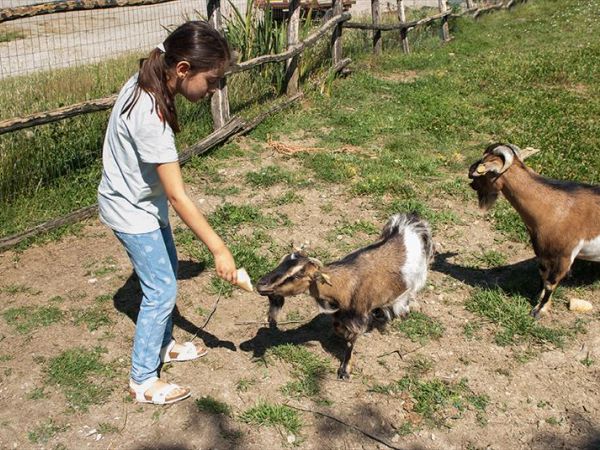 Agriturismo La Collina delle Stelle - foto 36542.jpg