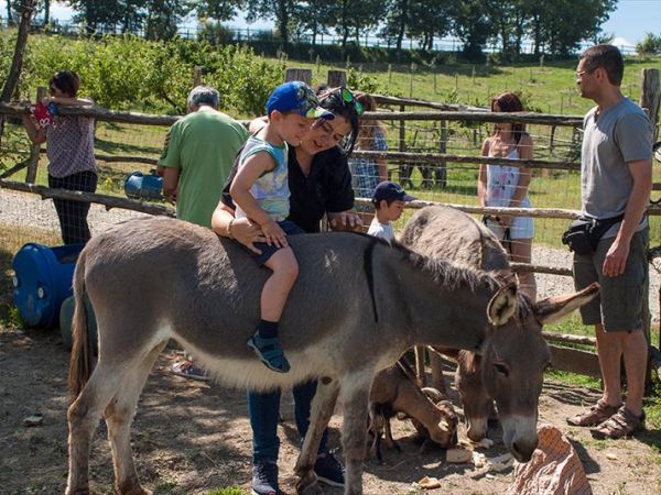 Agriturismo La Collina delle Stelle - foto 36543.jpg