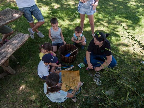 Agriturismo La Collina delle Stelle - foto 36544.jpg