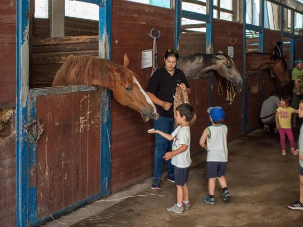 Agriturismo La Collina delle Stelle - foto 36545.jpg