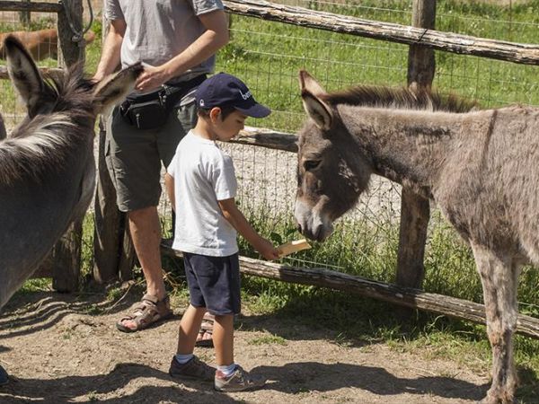 Agriturismo La Collina delle Stelle - foto 36546.jpg