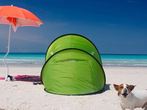 Condominio Residenza Solferino - Dog Beach Gratuita - foto 36623.jpg