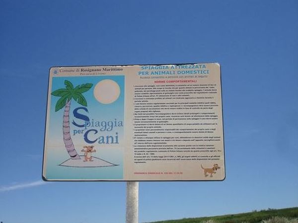 Condominio Residenza Solferino - Dog Beach Gratuita - foto 36624.jpg