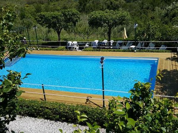 Condominio Residenza Solferino - Dog Beach Gratuita - foto 36625.jpg