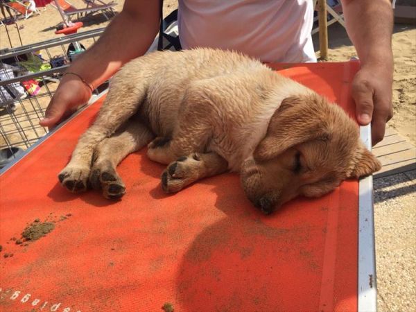La Spiaggia di Pluto - foto 37055.jpg