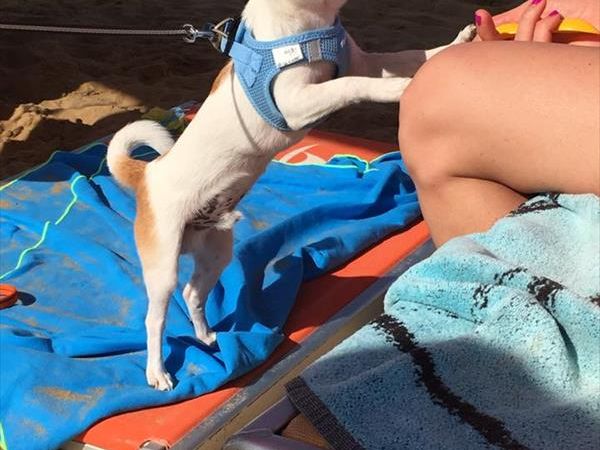 La Spiaggia di Pluto - foto 37062.jpg