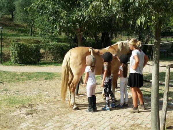 Agriturismo Villa Stabbia - foto 37158.jpg