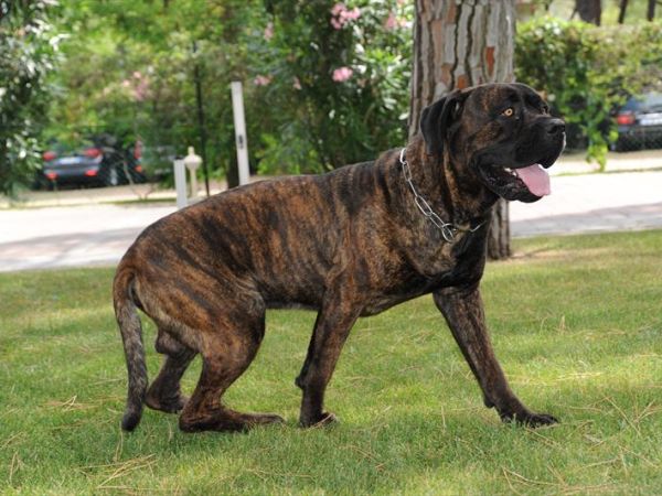 Hotel Dei Coralli - foto 37319.jpg