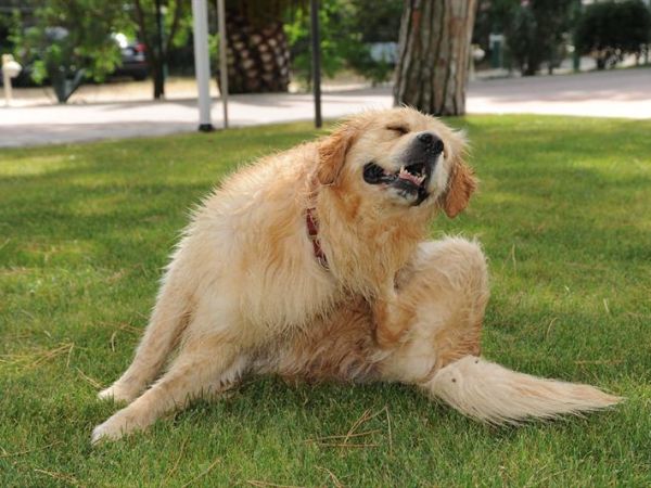 Hotel Dei Coralli - foto 37324.jpg
