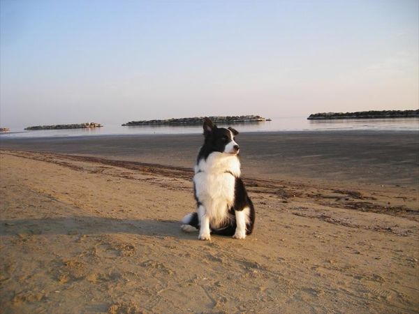 Hotel Brienz - foto 37393.jpg