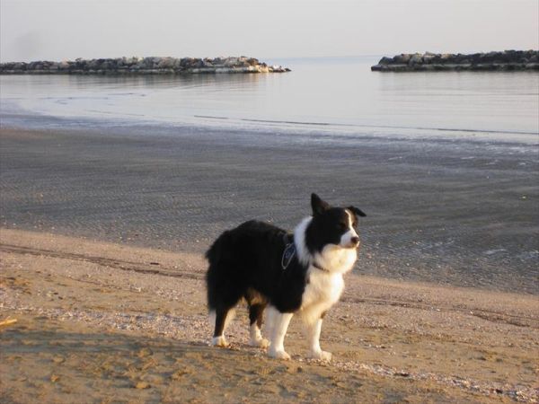 Hotel Brienz - foto 37394.jpg