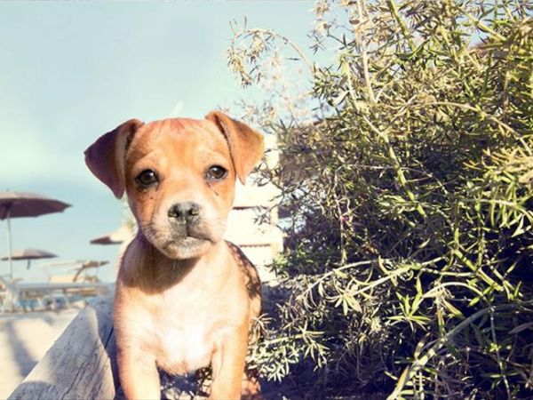 Hotel *** Saint Tropez  - foto 37406.jpg