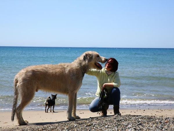 Tre Querce - foto 37465.jpg