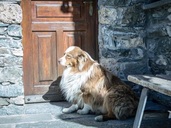 Seconda stella a destra - foto 37485.jpg