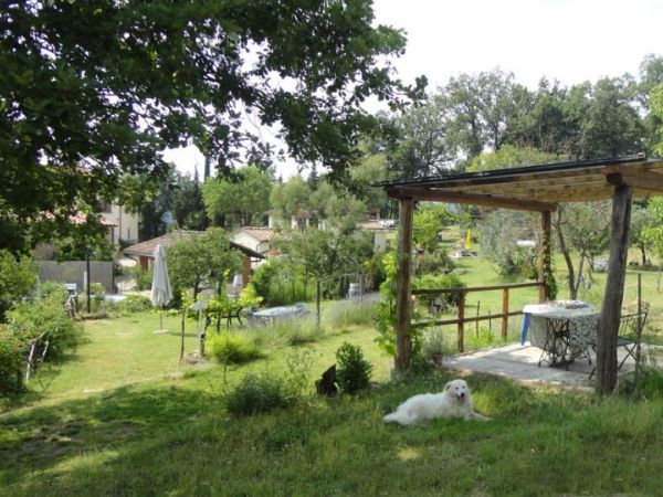 Agriturismo Corzano - foto 37599.jpg