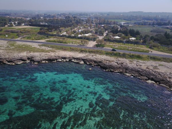 Agricampeggio Torre Sabea - foto 37653.jpg