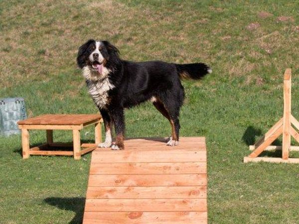 Chalet Baita nel bosco Ledro - foto 37741.jpg