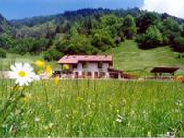 Chalet Baita nel bosco Ledro - foto 37756.jpg