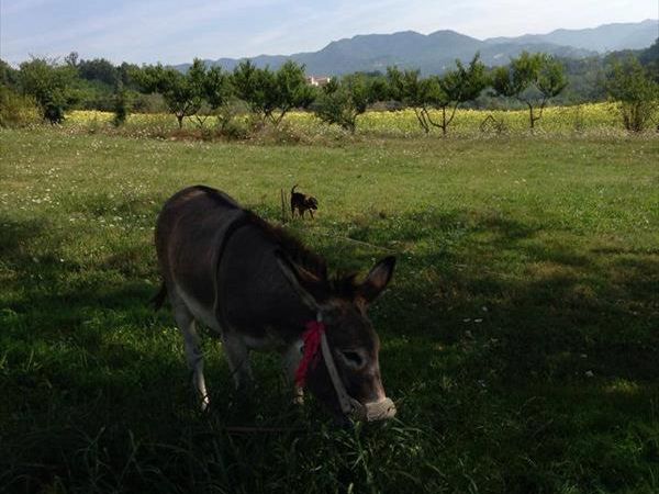 Agriturismo La Topaia - foto 37796.jpg