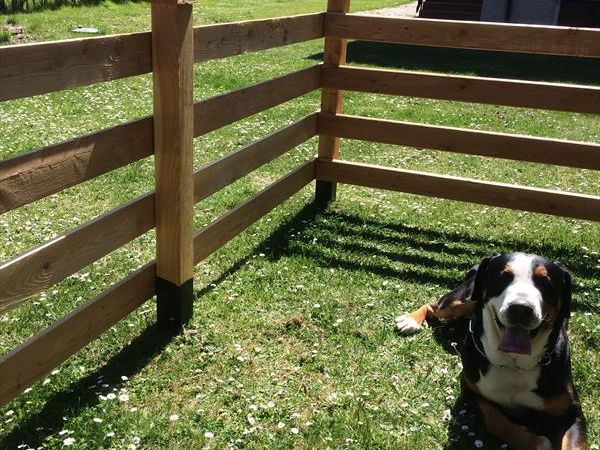 Casa... e Cuccia Lago di Ledro - foto 37812.jpg