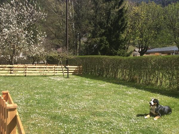 Casa... e Cuccia Lago di Ledro - foto 37815.jpg