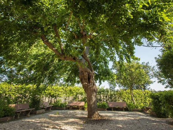 Casale Etrusco - foto 37825.jpg