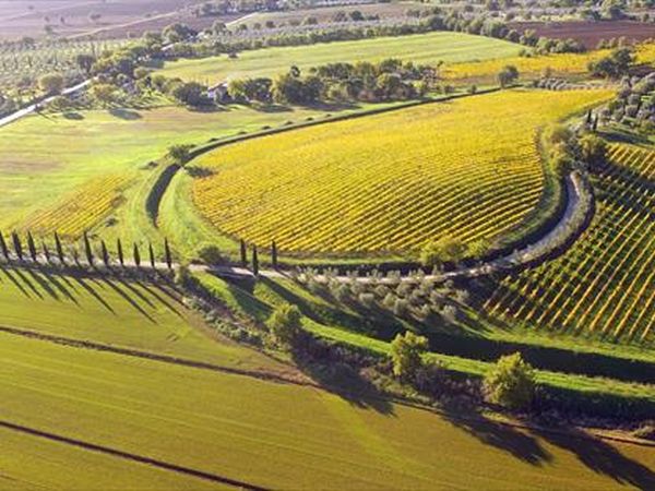 Fattoria Poggialberi - foto 37869.jpg