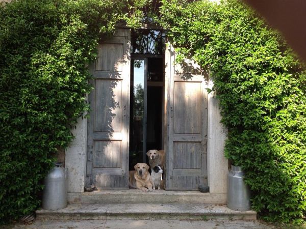 Fattoria Poggialberi - foto 37873.jpg