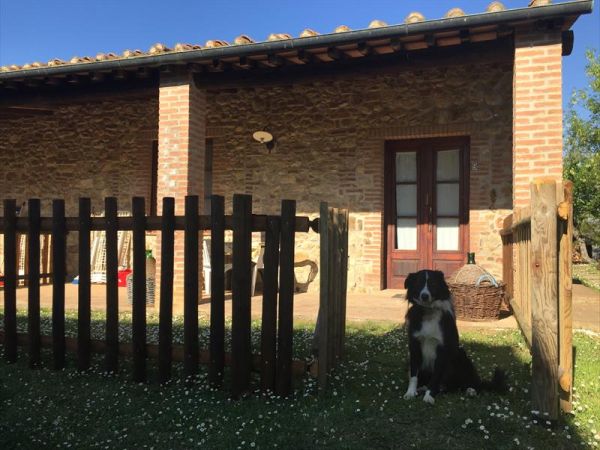 Borgo Campetroso - foto 37939.jpg