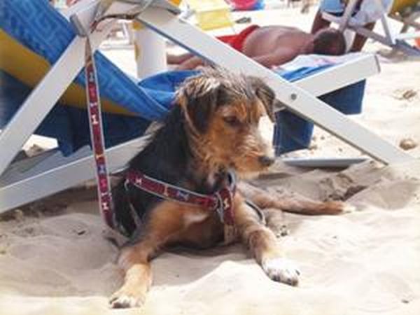 Hotel Ponte - foto 38001.jpg