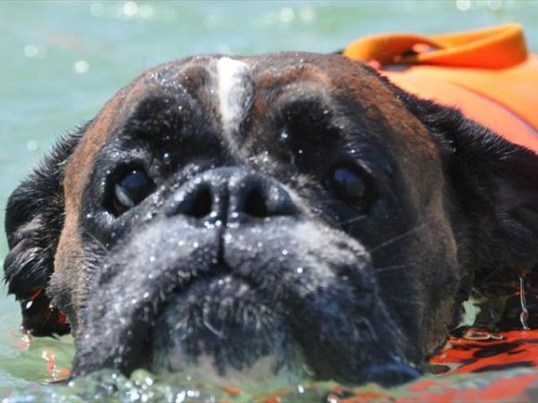 Baia Canaria - foto 38012.jpg