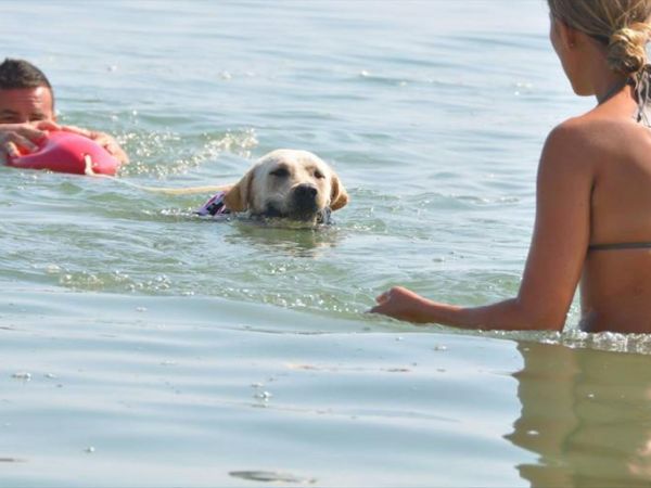 Baia Canaria - foto 38013.jpg