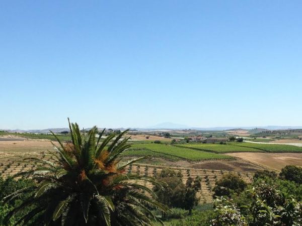 Agriturismo Coscio di Badia - foto 38027.jpg