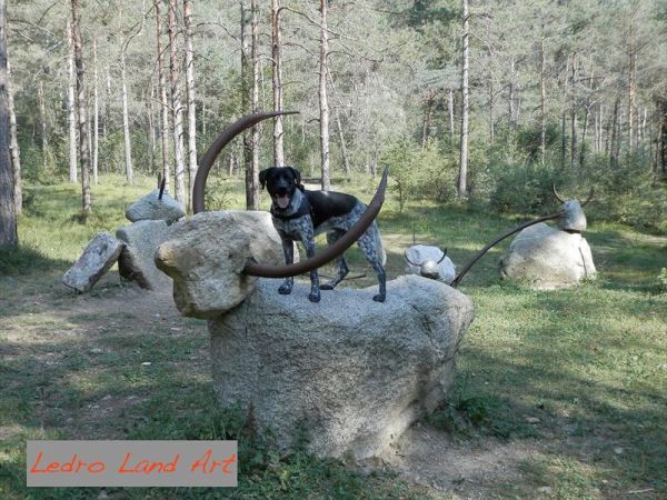 C� Alice... Cuccia e Relax al Lago di Ledro - foto 38034.jpg