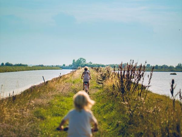 Agenzia SIT - foto 38064.jpg