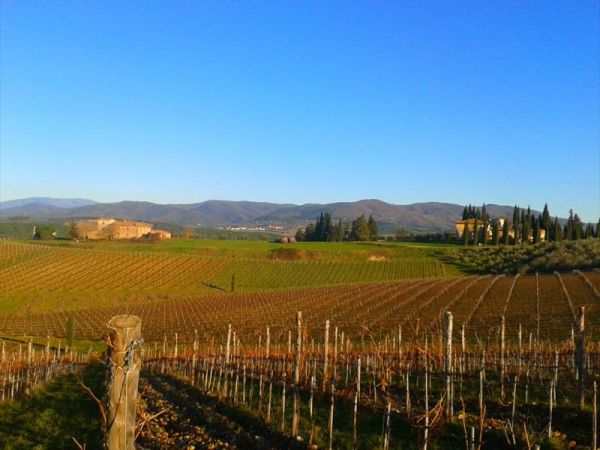 Agriturismo Tenuta Branca - foto 38096.jpg