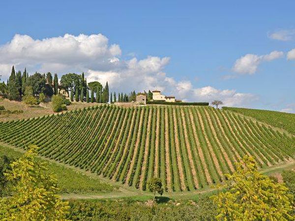 Agriturismo Tenuta Branca - foto 38100.jpg