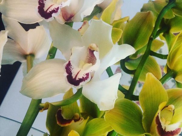 The One Hotel - foto 38133.jpg