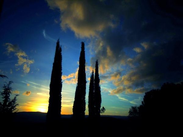 Borgo Poneta - foto 38168.jpg