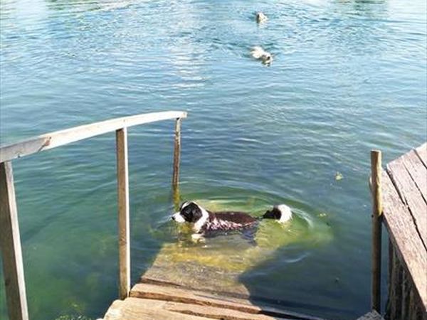 Agriturismo Ai Due Laghi - foto 38226.jpg