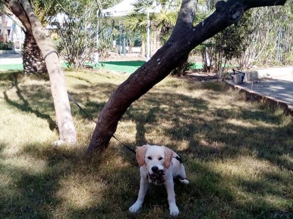 Campeggio Principina - foto 38307.jpg