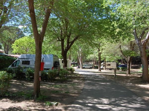 Camping Feniglia - foto 38316.jpg