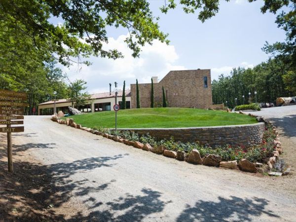 Camping Orlando in Chianti - foto 38350.jpg