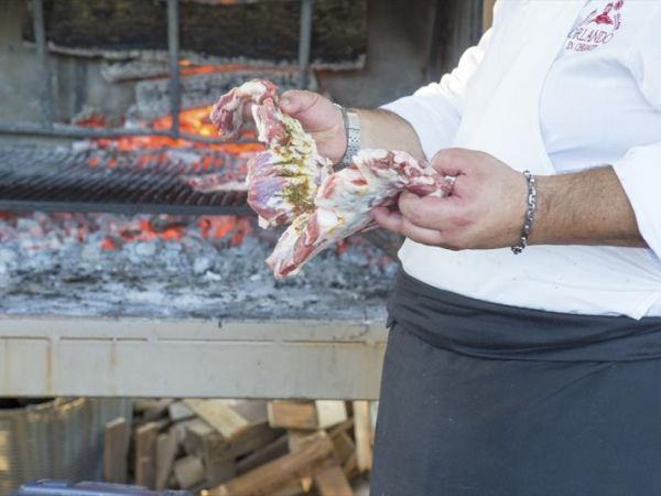 Camping Orlando in Chianti - foto 38353.jpg